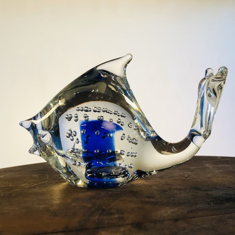 Glasfisk